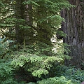2007 07 03 087